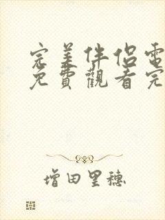 完美伴侣电视剧免费观看完整版全集