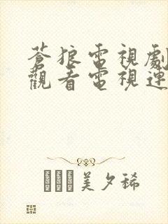 苍狼电视剧全集观看电视连续剧