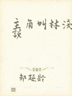 主角叫林浅的小说