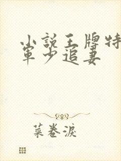 小说王牌特战之军少追妻