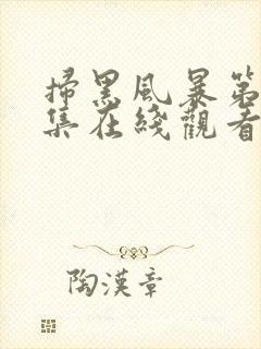 扫黑风暴第19集在线观看免费完整版