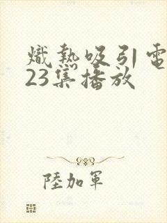 炽热吸引电视剧23集播放