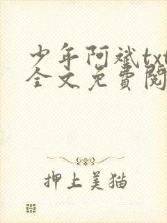 少年阿斌txt全文免费阅读小说