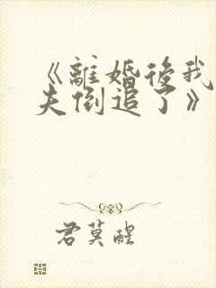 《离婚后我被前夫倒追了》封面