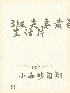 3级夫妻黄色性生活片封面