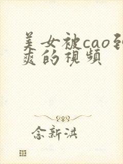 美女被cao到爽的视频