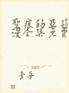 圣痕的亚莉亚动漫全集免费观看