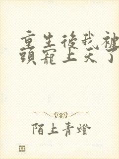 重生后我被死对头宠上天了