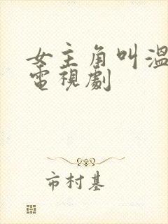 女主角叫温暖的电视剧