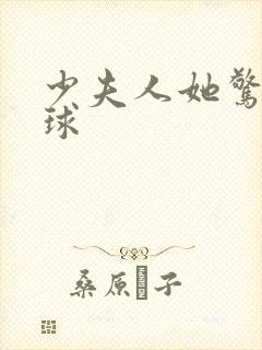 少夫人她惊艳全球