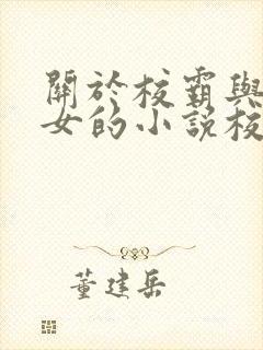 关于校霸与乖乖女的小说校园文