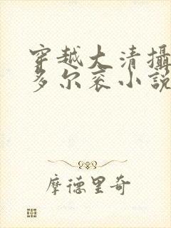 穿越大清摄政王多尔衮小说