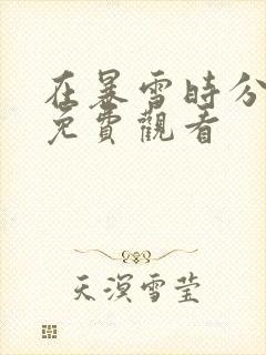 在暴雪时分高清免费观看封面