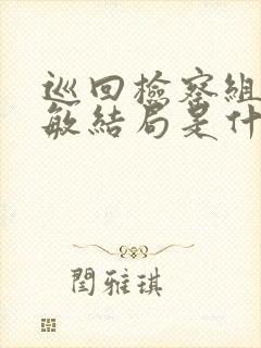 巡回检察组宋丽敏结局是什么