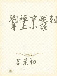 刘禅穿越到赵构身上小说封面