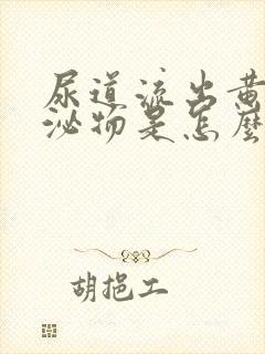 尿道流出黄色分泌物是怎么回事封面