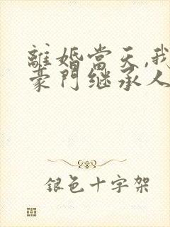 离婚当天,我和豪门继承人闪婚了在线下载封面