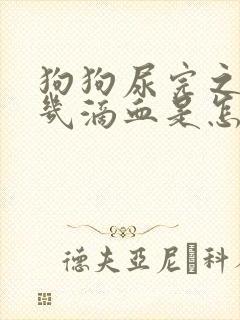 狗狗尿完之后有几滴血是怎么回事