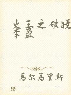 火王之破晓之战李盈封面