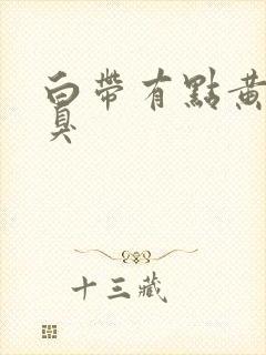 白带有点黄有腥臭