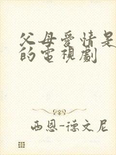 父母爱情是哪年的电视剧