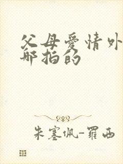 父母爱情外景在哪拍的封面