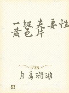 一级夫妻性生活黄色片