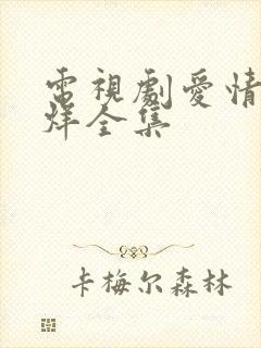 电视剧爱情不打烊全集