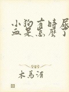 小狗有时尿里有血是怎么了封面