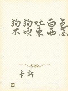 狗狗吐白色泡沫不吃东西怎么回事封面