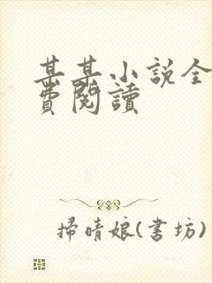 某某小说全文免费阅读