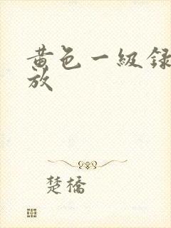 黄色一级录像播放