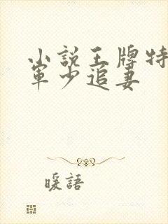 小说王牌特战之军少追妻