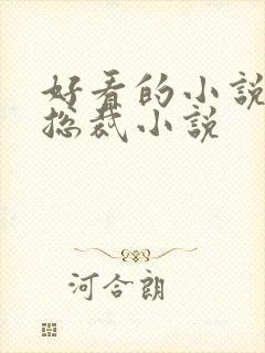 好看的小说推荐总裁小说封面