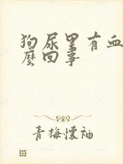 狗尿里有血是怎么回事