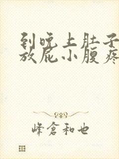 到晚上肚子胀气放屁小腹疼痛