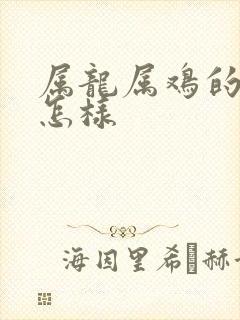 属龙属鸡的姻缘怎样