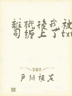 离职后我被前上司缠上了txt免费下载