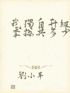 我独自升级第二季总共多少集