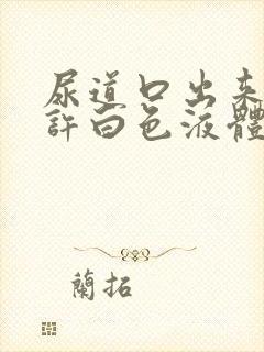 尿道口出来的少许白色液体封面