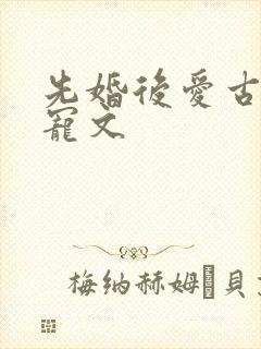 先婚后爱古言甜宠文