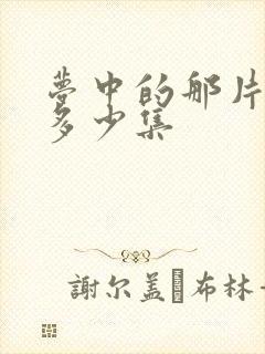 梦中的那片海有多少集