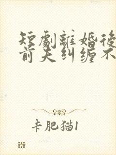 短剧离婚后总裁前夫纠缠不休封面