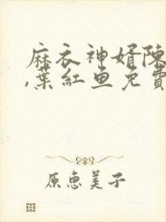 麻衣神婿陈黄皮,叶红鱼免费听书