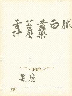 舌苔黄白腻厚吃什么药