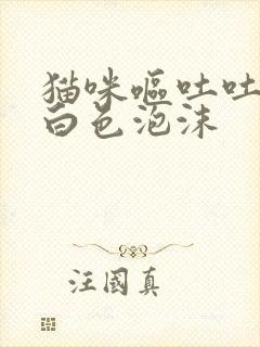 猫咪呕吐吐的是白色泡沫