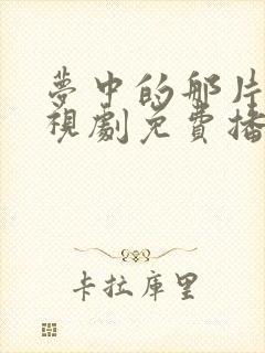 梦中的那片海电视剧免费播放