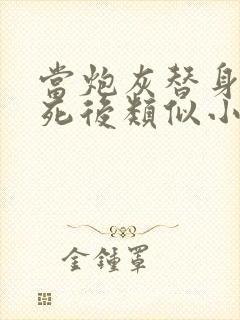 当炮灰替身的我死后类似小说