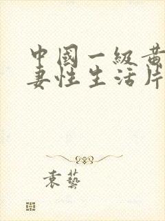 中国一级黄色夫妻性生活片