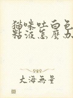 猫咪吐白色泡沫粘液怎么办